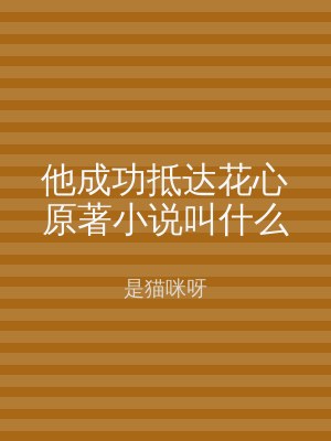 他成功抵达花心原著小说叫什么