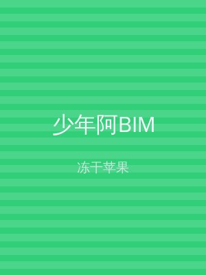 少年阿BIM