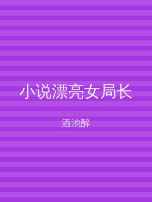 小说漂亮女局长