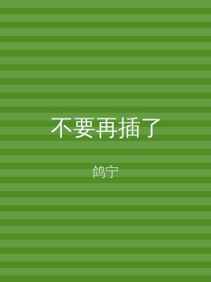 不要再插了
