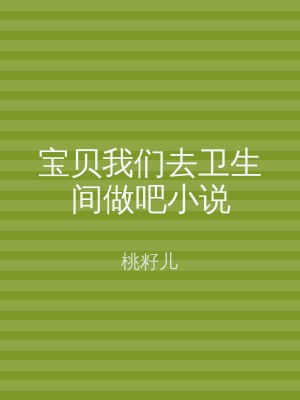 宝贝我们去卫生间做吧小说
