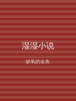 湿湿小说