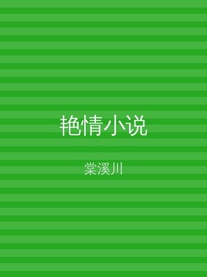 艳情小说