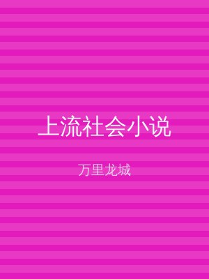 上流社会小说