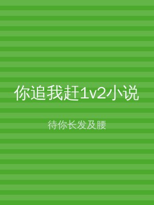你追我赶1v2小说