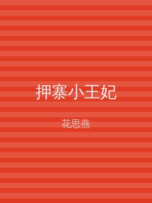 押寨小王妃