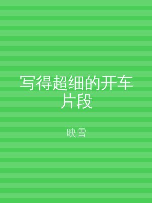写得超细的开车片段