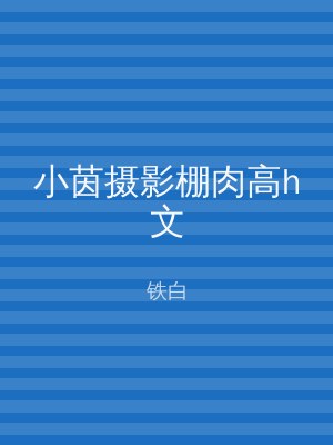 小茵摄影棚肉高h文