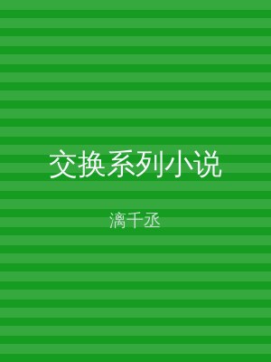 交换系列小说