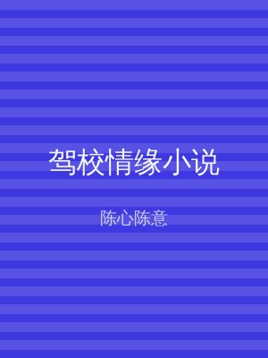 驾校情缘小说