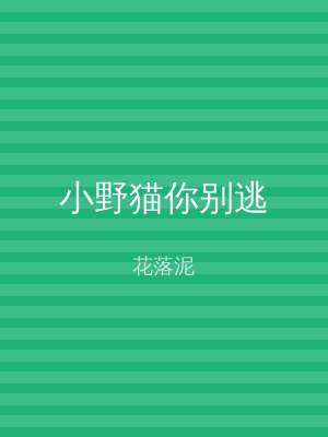 小野猫你别逃