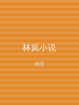 林岚小说