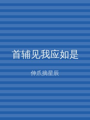 首辅见我应如是