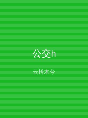 公交h