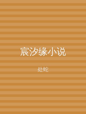 宸汐缘小说
