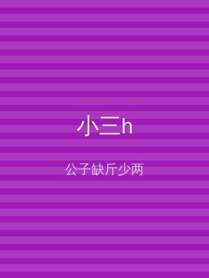 小三h