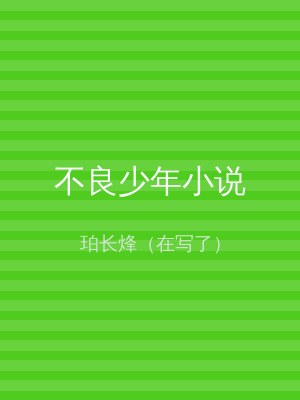 不良少年小说