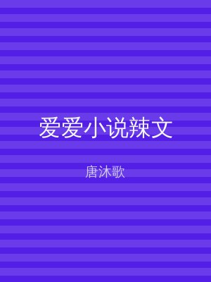 爱爱小说辣文