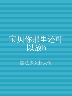 宝贝你那里还可以放h
