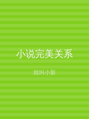 小说完美关系