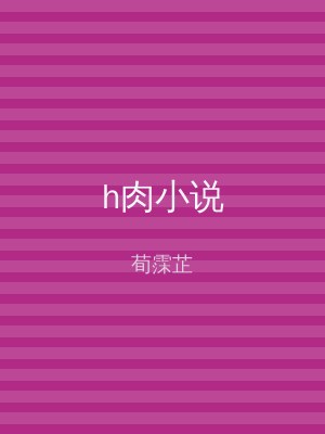 h肉小说