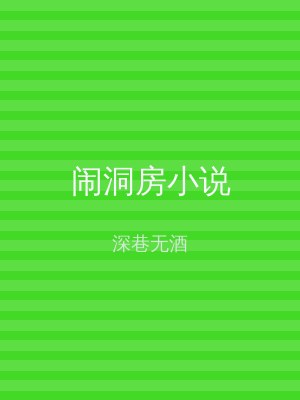 闹洞房小说