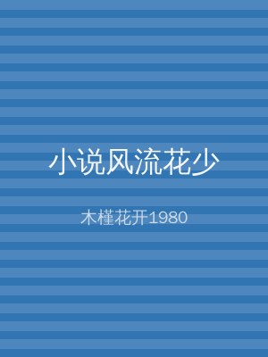 小说风流花少