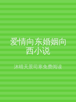 爱情向东婚姻向西小说