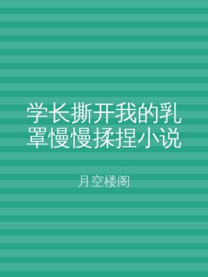 学长撕开我的乳罩慢慢揉捏小说