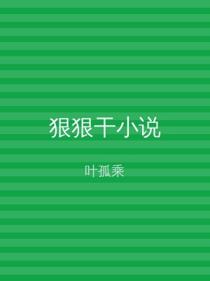 狠狠干小说