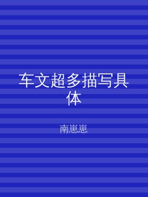 车文超多描写具体