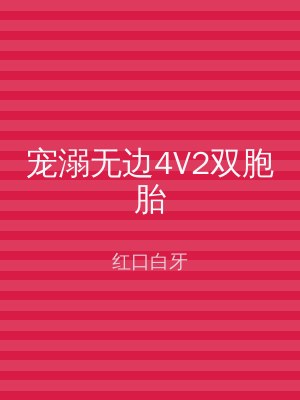 宠溺无边4V2双胞胎