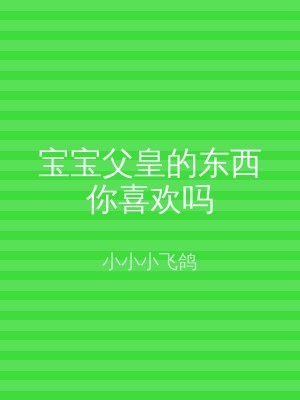 宝宝父皇的东西你喜欢吗