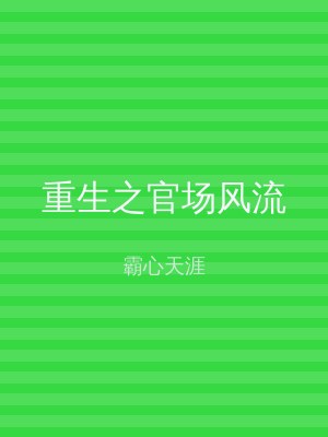 重生之官场风流