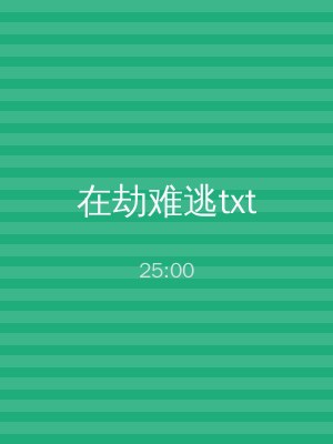在劫难逃txt