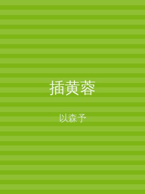 插黄蓉
