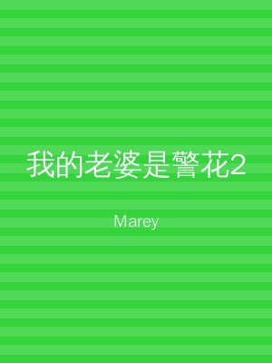 我的老婆是警花2