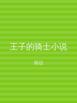王子的骑士小说