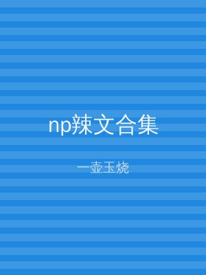 np辣文合集