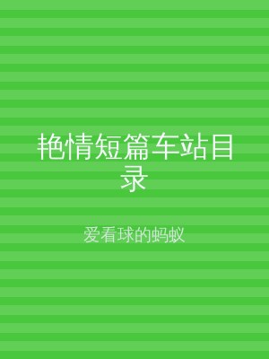 艳情短篇车站目录