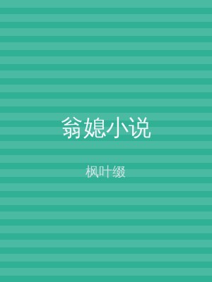 翁媳小说