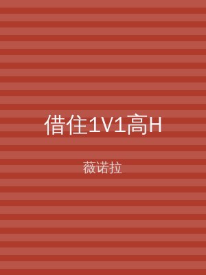 借住1V1高H