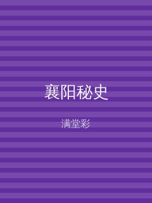 襄阳秘史