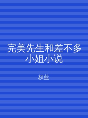 完美先生和差不多小姐小说