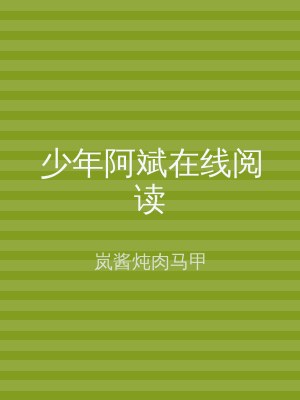 少年阿斌在线阅读