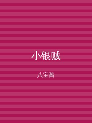 小银贼