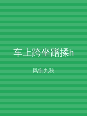 车上跨坐蹭揉h