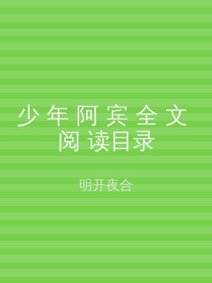 少 年 阿 宾 全 文 阅 读目录