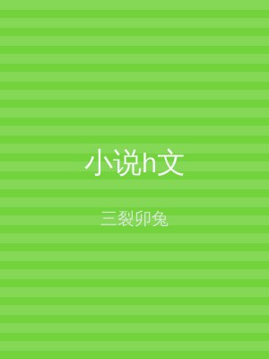小说h文