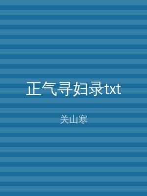 正气寻妇录txt
